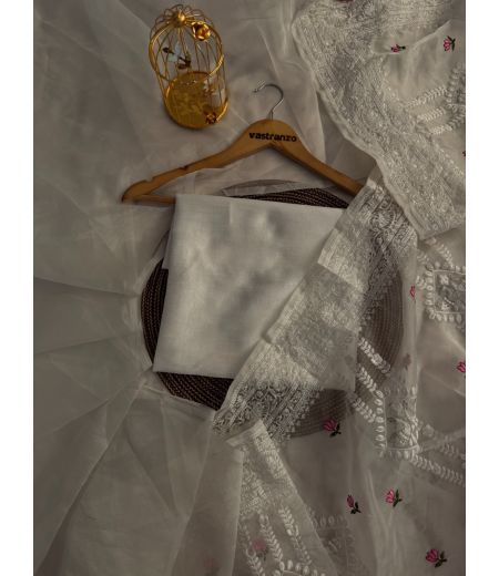 DB403 Beautiful Soft Organza Lucknowi Embroidery Work Celebrity Inspired Saree.(Blouse Unstitched)