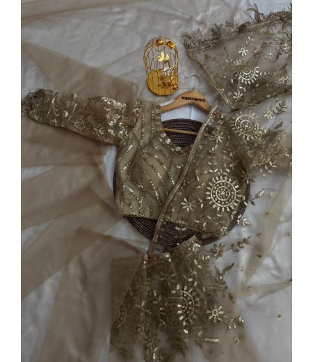 DB529 Beautiful Soft Butterfly Net Sequence Emboridary Work Celebrity Inspired Saree.(Blouse Unstitched)